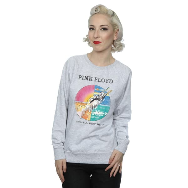 Pink Floyd Dam/Damer Önskar Du Var Här Prism Sweatshirt M Heather Grey M