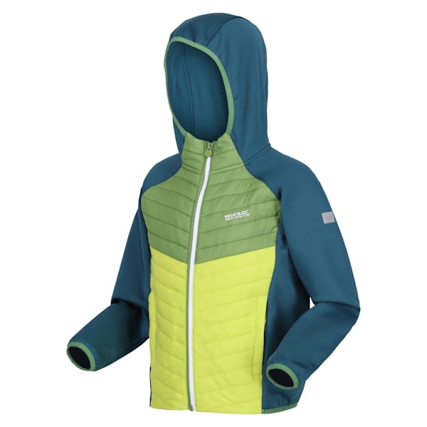 Regatta Barn/Barn Kielder VIII Hybrid Jacka 13 År Moro Moroccan Blue/Piquant Green/Citron 13 Years