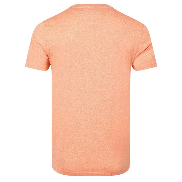 Weird Fish Fished Märkes T-shirt för Män 4XL Pumpa Pumpkin 4XL