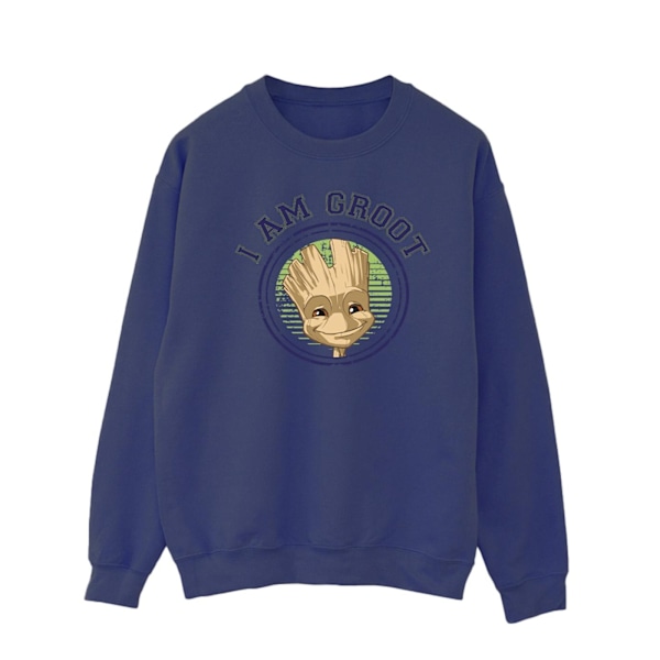 Guardians Of The Galaxy Herr Groot Varsity Sweatshirt M Marinblå Navy Blue M