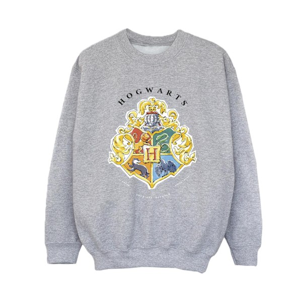 Harry Potter Pojkar Hogwarts Skolemblemsweatshirt 9-11 År Sports Grey 9-11 Years