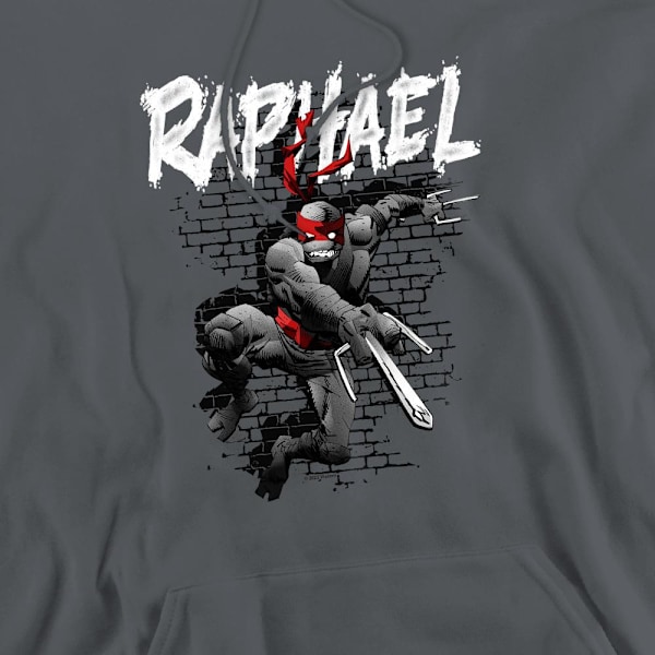 Teenage Mutant Ninja Turtles Raphael Hoodie för män M Gråmelerad Charcoal M
