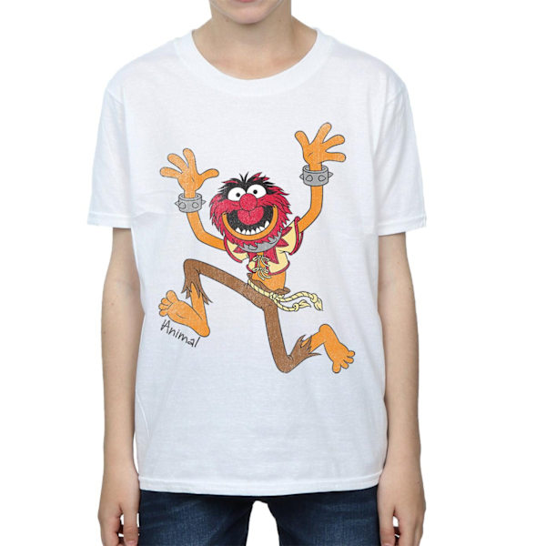 The Muppets Boys Classic Animal Bomull T-shirt 12-13 år Vit White 12-13 Years