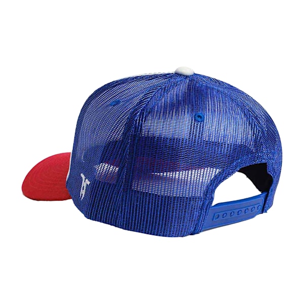 Tokyo Time Unisex Vuxen Pride Trucker Cap En Storlek Vit/Blå White/Blue One Size
