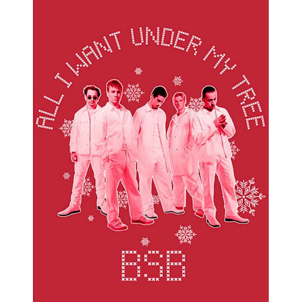 Backstreet Boys Unisex Adult All I Want Xmas Bomull T-shirt M R Red M