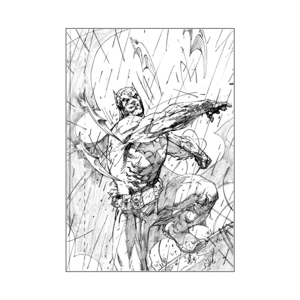 Batman Batarang Print 80cm x 40cm Vit/Svart White/Black 80cm x 40cm