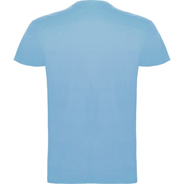 Roly Barn/Barn Beagle Kortärmad T-shirt 1-2 År Sky Sky Blue 1-2 Years