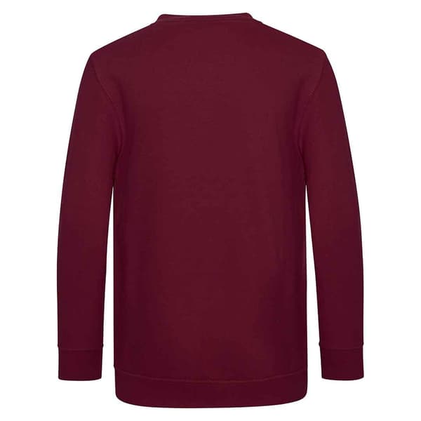 Awdis Barn/Barn Akademi V-ringad Sweatshirt 13 År Grå Grey 13 Years