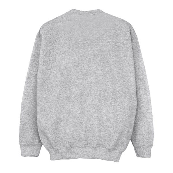 Disney Girls Encanto Mirabel Blomm Sweatshirt 12-13 År Sportgrå Sports Grey 12-13 Years