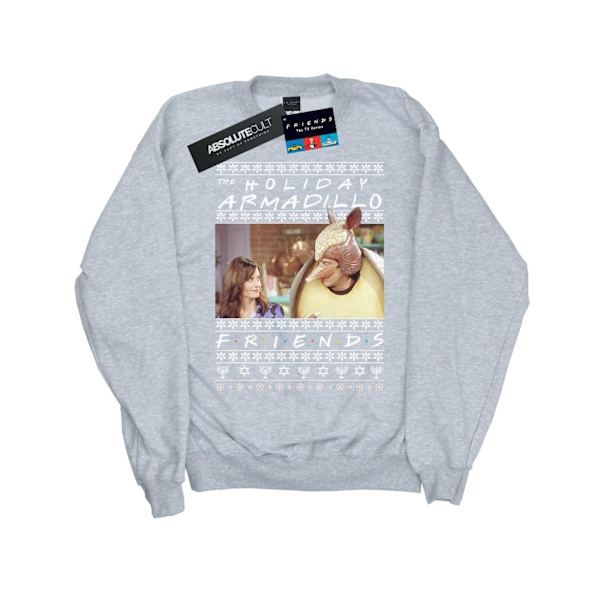 Friends Boys Fair Isle Holiday Armadillo Sweatshirt 5-6 år S Sports Grey 5-6 Years