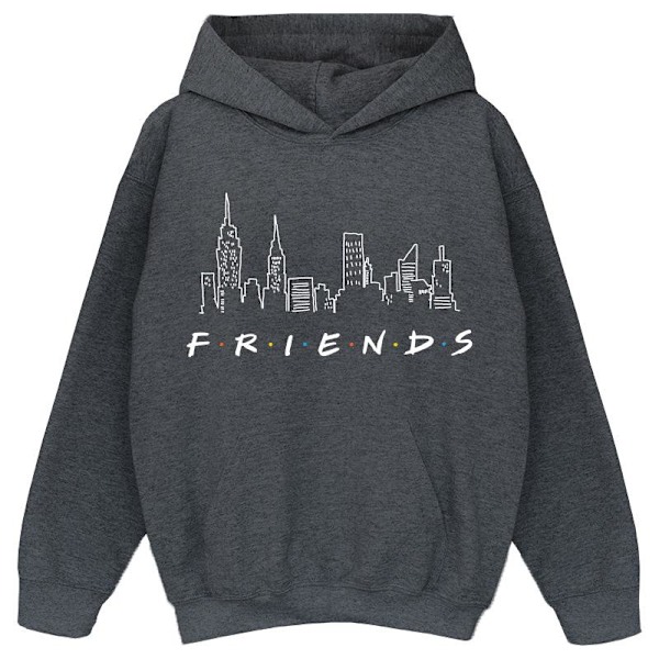 Friends Girls Skyline Logo Hoodie 7-8 år Mörkgråmelerad Dark Heather Grey 7-8 Years