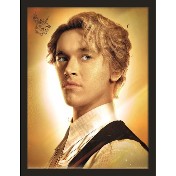 The Hunger Games: The Ballad of Songbirds & Snakes Inramad Poster Multicoloured 40cm x 30cm