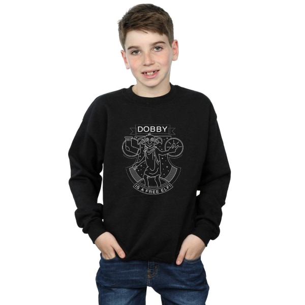 Harry Potter Pojkar Dobby Seal Sweatshirt 5-6 År Svart Black 5-6 Years
