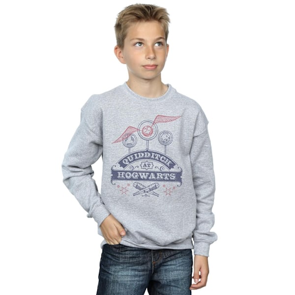 Harry Potter Pojkar Quidditch På Hogwarts Sweatshirt 9-11 År S Sports Grey 9-11 Years