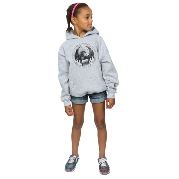 Fantastic Beasts Girls Distressed Magical Congress Hoodie 12-13 Sports Grey 12-13 Years