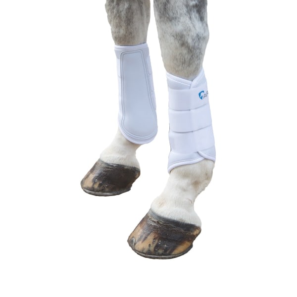 ARMA Neopren Hästborstskydd X Full Vit White X Full