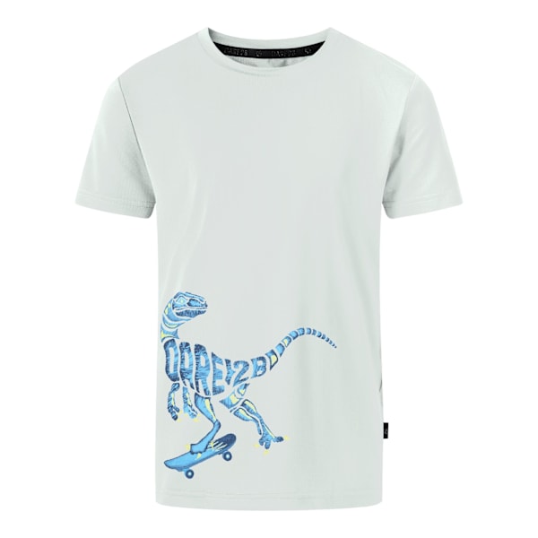 Dare 2B Pojkar Amuse II Velociraptor T-Shirt 14 År Aqua Grå Aqua Grey 14 Years