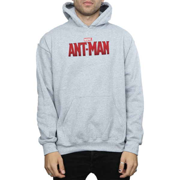 Marvel Herr Ant-Man Filmlogotyp Hoodie S Svart Black S