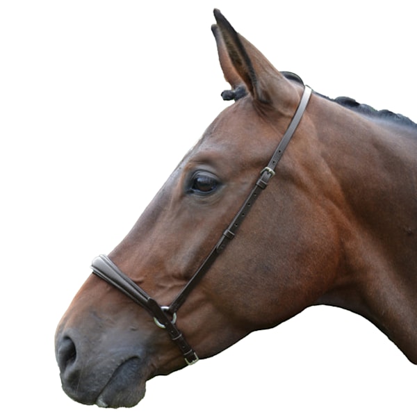 Hy Padded Drop Nose Band Cob Brun Brown Cob