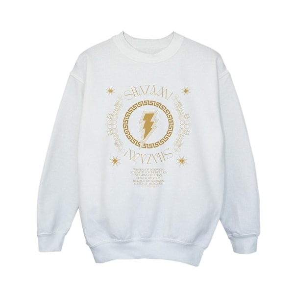 DC Comics Boys Shazam Fury Of The Gods Golden Spiral Chest Sweatshirt 3-4 år Vit White 3-4 Years