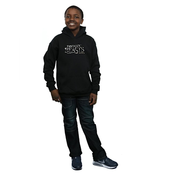 Fantastic Beasts Boys Text Logo Hoodie 12-13 år Svart Black 12-13 Years