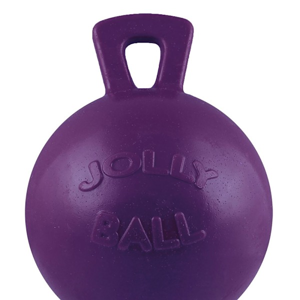 Jolly Pets Tug-N-Toss Hämthundsleksak 4,5 tum Lila Purple 4.5in