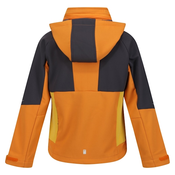 Regatta Haydenbury Softshelljacka för barn 13 år Orange Pepper/Seal Grey Orange Pepper/Seal Grey 13 Years