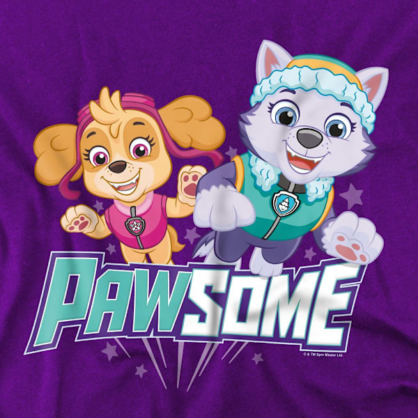 Paw Patrol Herr Pawsome Skye & Everest T-Shirt XXL Lila Purple XXL