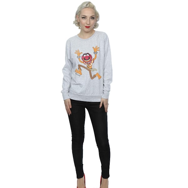 The Muppets Dam/Damer Animal Sweatshirt S Heather Grey Heather Grey S