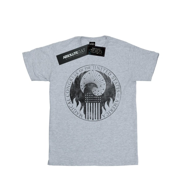 Fantastic Beasts Boys Distressed Magical Congress T-Shirt 5-6 Y Sports Grey 5-6 Years