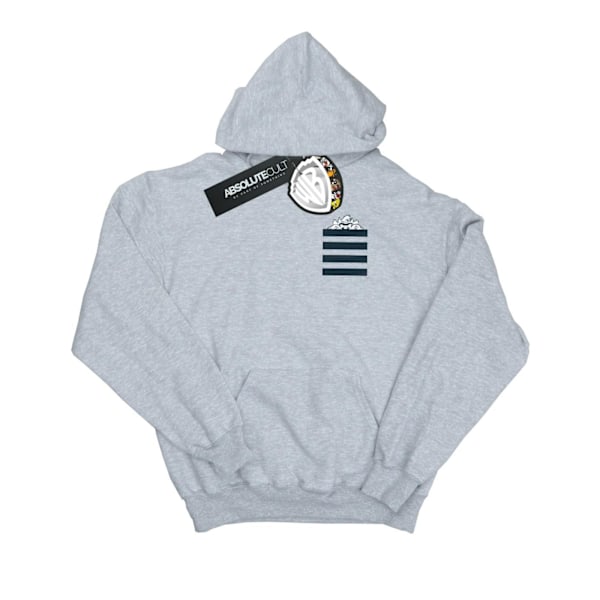 Looney Tunes Dam/Kvinnor Taz Stripes Faux Pocket Hoodie L Hea Heather Grey L