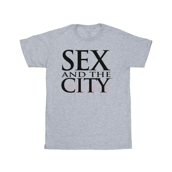 Sex And The City Män Logo Skyline T-shirt 5XL Sport Grå Sports Grey 5XL