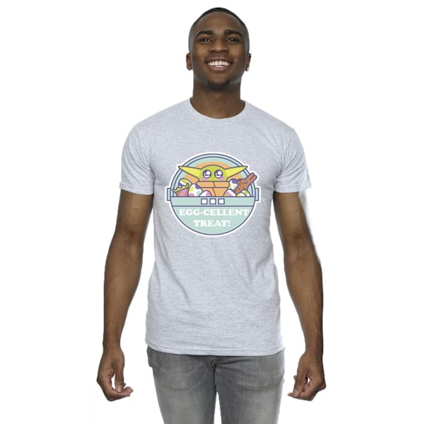 Star Wars Mens The Mandalorian Eggcellent Easter T-Shirt S Spor Sports Grey S