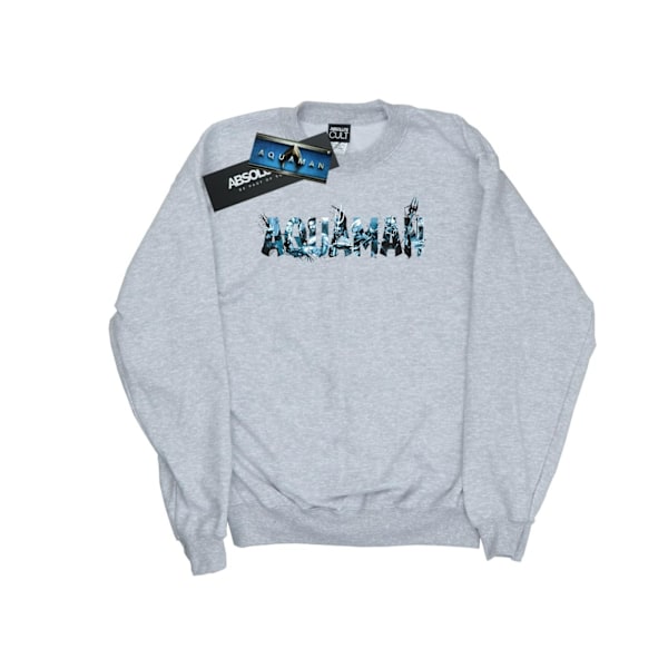 DC Comics Boys Aquaman Text Logo Sweatshirt 12-13 år Sport Sports Grey 12-13 Years