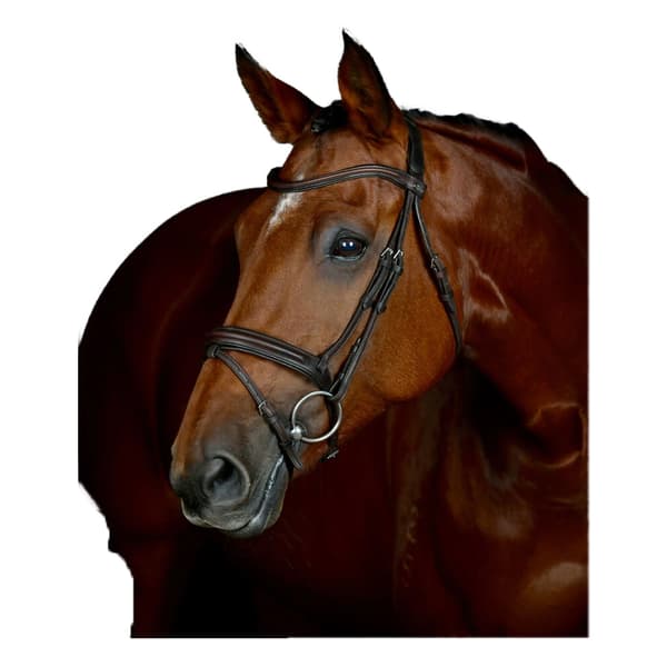Collegiate Comfitec Läder Hästträns Full Mörkbrun Dark Brown Full