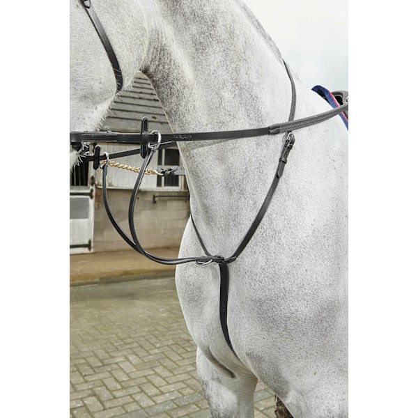 Whitaker Lynton Läder Running Martingale Ponny Svart Black Pony