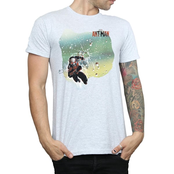 Marvel Ant-Man Shatter T-shirt L Sports Grey Sports Grey L