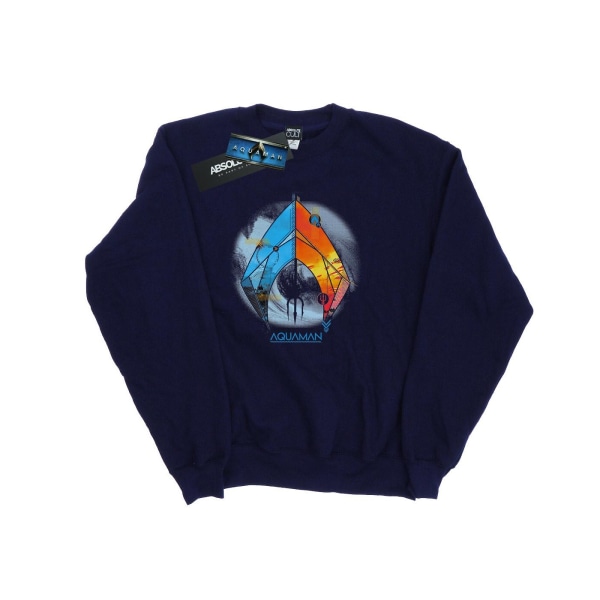 DC Comics Dam/Dam Aquaman Tropical Logo Sweatshirt M Marinblå Navy Blue M