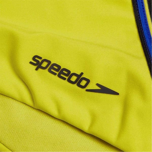 Speedo Bikiniunderdelar för damer/kvinnor randiga 6 UK Grön Green 6 UK