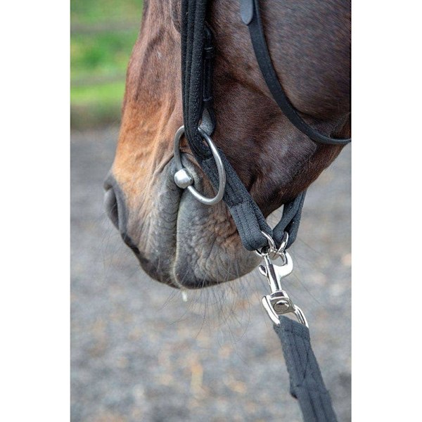 Shires Läderhäst Lungadapter En Storlek Svart Black One Size
