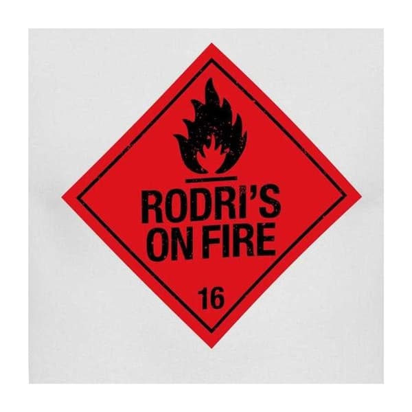 AWD Herr Rodris On Fire T-shirt L Vit White L