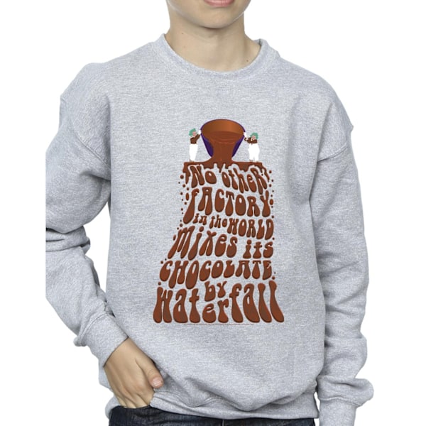 Willy Wonka Boys Chocolate Waterfall Sweatshirt 12-13 år Spo Sports Grey 12-13 Years