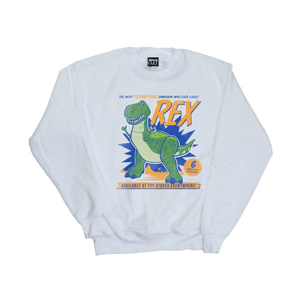 Disney Boys Toy Story 4 Rex Terrifying Dinosaur Sweatshirt 12-13 White 12-13 Years