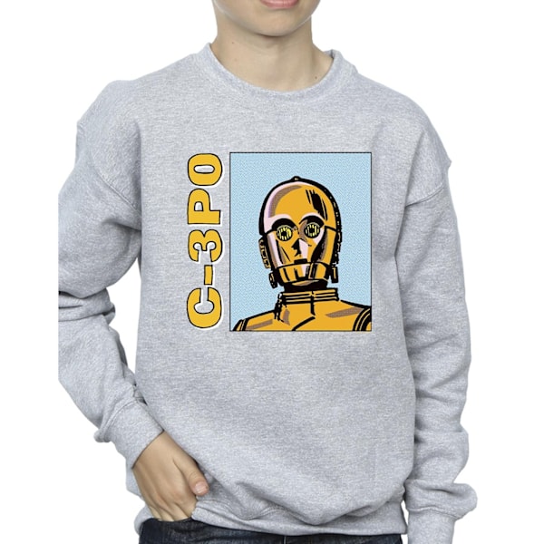 Star Wars Pojkar C3PO Linje Konst Sweatshirt 7-8 År Sports Grey Sports Grey 7-8 Years