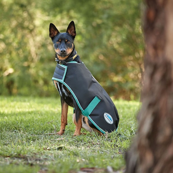 Weatherbeeta Green-Tec Plus Lätt Hundkappa 25cm Svart/Flaska Black/Bottle Green 25cm