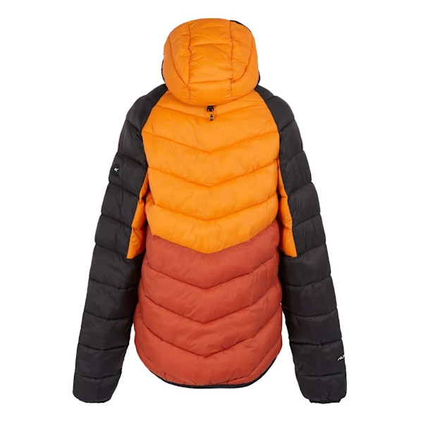Regatta Dalent Vadderad Jacka med Huva för Män 3XL Fox/Red Ochre Fox/Red Ochre 3XL