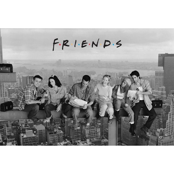 Friends Skyscraper Poster One Size Grey Grey One Size