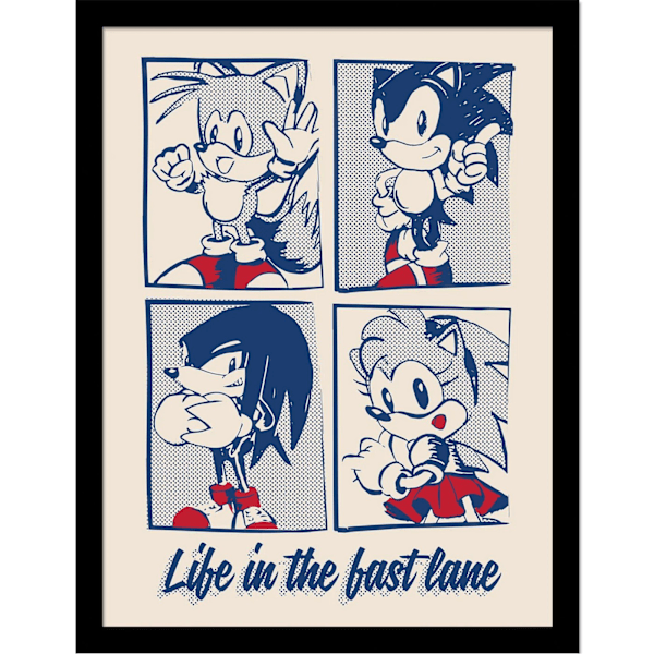 Sonic The Hedgehog Life In The Best Lane Inramad Poster 40cm x 3 White/Blue/Red 40cm x 30cm