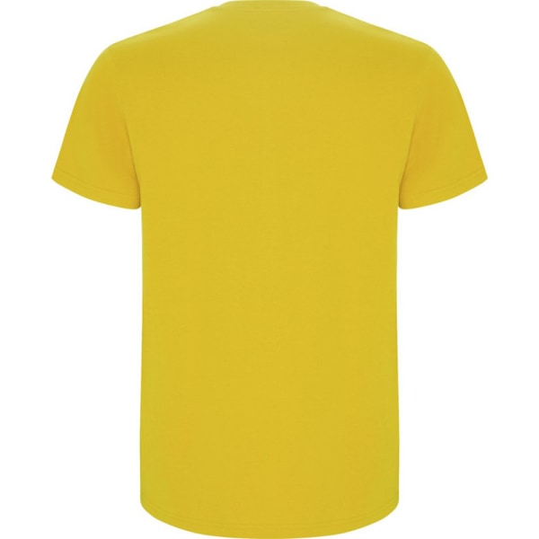 Roly Barn/Barn Stafford Kortärmad T-shirt 11-12 År Yellow 11-12 Years