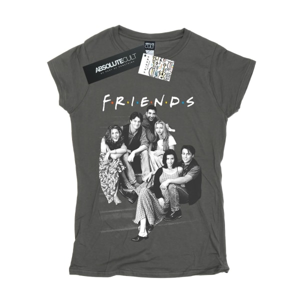 Friends Dam/Dam Grupp Trappor Bomull T-Shirt L Charcoal Charcoal L